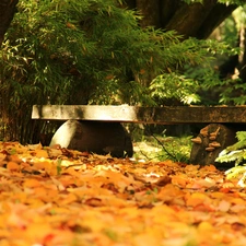 autumn, Bench, Park