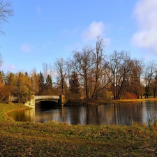 Park, bridge, autumn, River