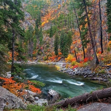 River, forest, autumn, rocks