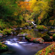 River, forest, autumn, Stones