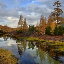 autumn, Mountains, VEGETATION, trees, Kolyma River, Magadan Circuit, Russia, viewes