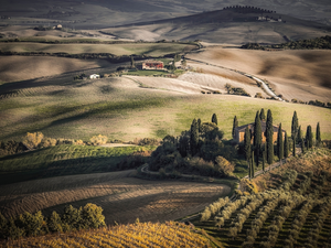 autumn, The Hills, vineyards, house, field, Tuscany, Italy, cypresses