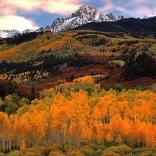 autumn, Mountains, woods