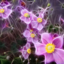 background, Flowers, fuzzy