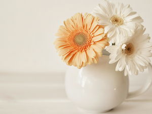 Bright, background, gerberas, jug, Three