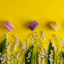 Yellow, background, Macaroons, lilies, Cookies