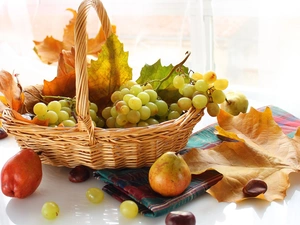 chestnuts, basket, autumn, Leaf, Fruits