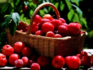 basket, Red, plums
