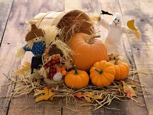 pumpkin, puppets, halloween, basket