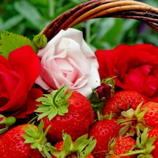 basket, strawberries, roses