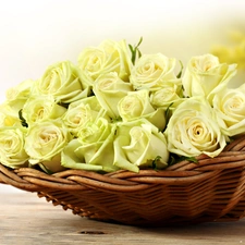 basket, Yellow, roses