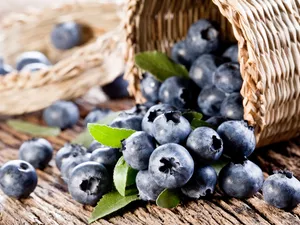 basket, blueberries, wicker