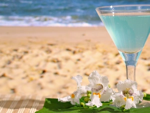 Beaches, exotic, Drink