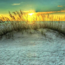 Beaches, grass, sun, sea, west