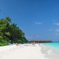 Beaches, Sky, fihalhohi, Palms, Maldives