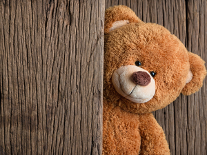 boarding, Plush, teddy bear