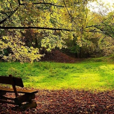 forest, Bench, autumn, car in the meadow