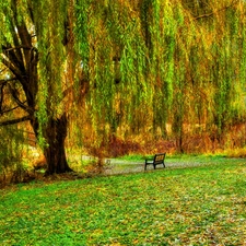 Bench, Willow, Crying