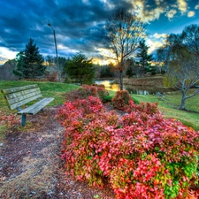 Bench, Park, lake