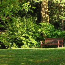 Bench, Garden, Lawn