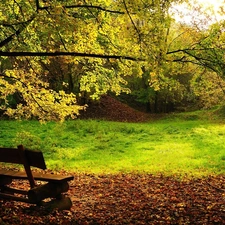 Bench, Park, viewes, Wooden, trees