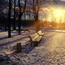 sun, winter, trees, Przebijaj?ce, Park, bench, viewes