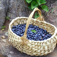 berries, basket, full
