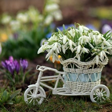 snowdrops, basket, decoration, Bicycle
