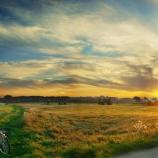 woods, field, east, Way, Meadow, Bike, sun