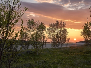 viewes, birch, River, trees, Sunrise