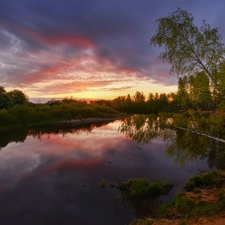 inclined, River, viewes, birch, trees, Sunrise