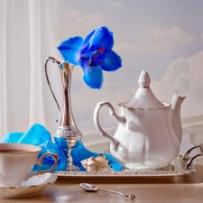 Blue, Orchidee, cup, jug, china