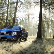 grass, trees, Ford, viewes, forest, blue, Ranger
