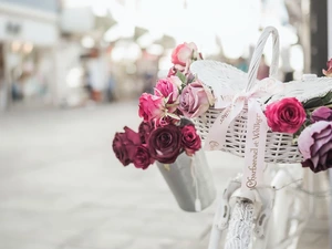 roses, blur, White, basket, Bike