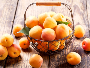basket, boarding, apricots, leaves, Fruits