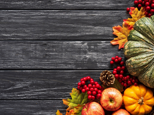 apples, boarding, Leaf, cones, pumpkin