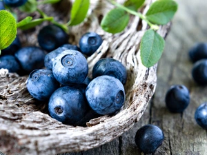 boarding, blueberries, leaves