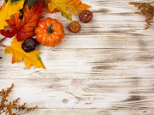 Plants, boarding, pumpkin, dry, Leaf