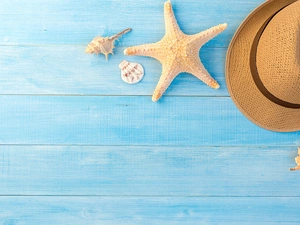 Blue, boarding, Shells, starfish, Hat