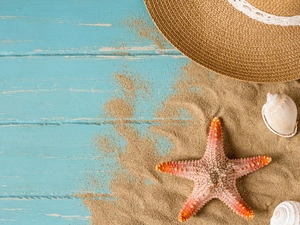 Sand, boarding, Shells, starfish, Hat
