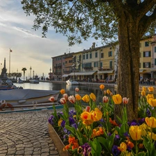 trees, Houses, Italy, Gulf, Portofino, Tulips, Flowers, Boats
