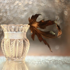 dry, vase, Bokeh, leaf