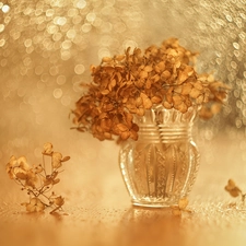 Bokeh, vase, dry, Flowers, hydrangea