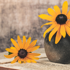 Vase, Book, Flowers, Rudbeckia, Yellow