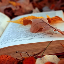 Leaf, Book