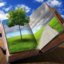 trees, Sky, Book, Meadow