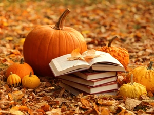 pumpkin, dry, Leaf, Books