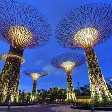 botanical, Singapur, Garden