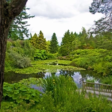 Garden, botanical