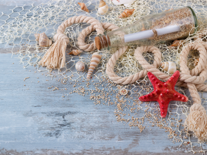 string, Bottle, starfish, Shells, composition